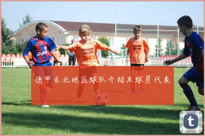 德甲东北地区球队介绍及球员代表
