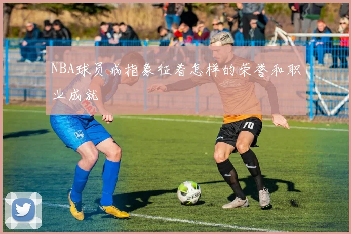 NBA球员戒指象征着怎样的荣誉和职业成就