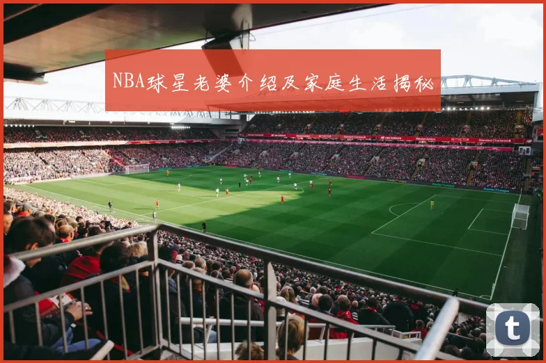 NBA球星老婆介绍及家庭生活揭秘
